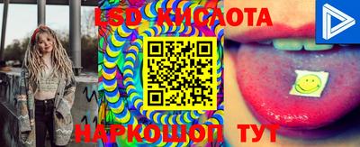 прущие грибы Конаково