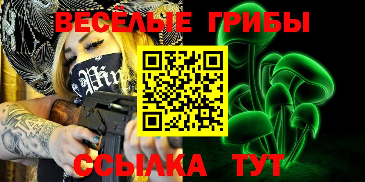 Псилоцибиновые грибы Psilocybine cubensis  Вход с VPN  Кольчугино 